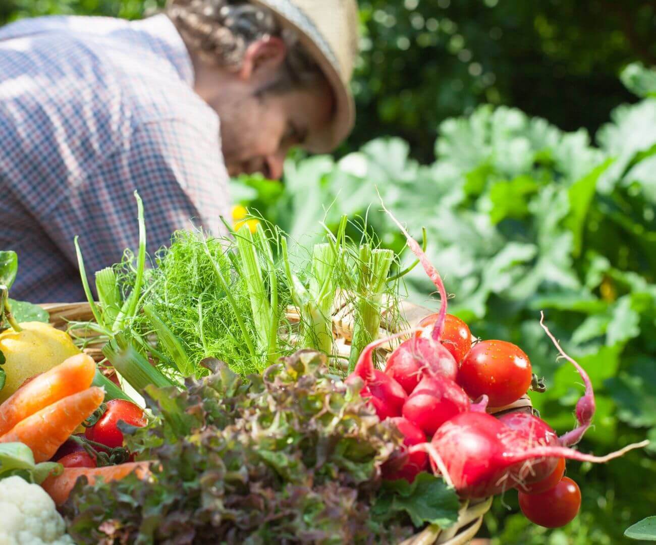 Corso giardiniere gratuito