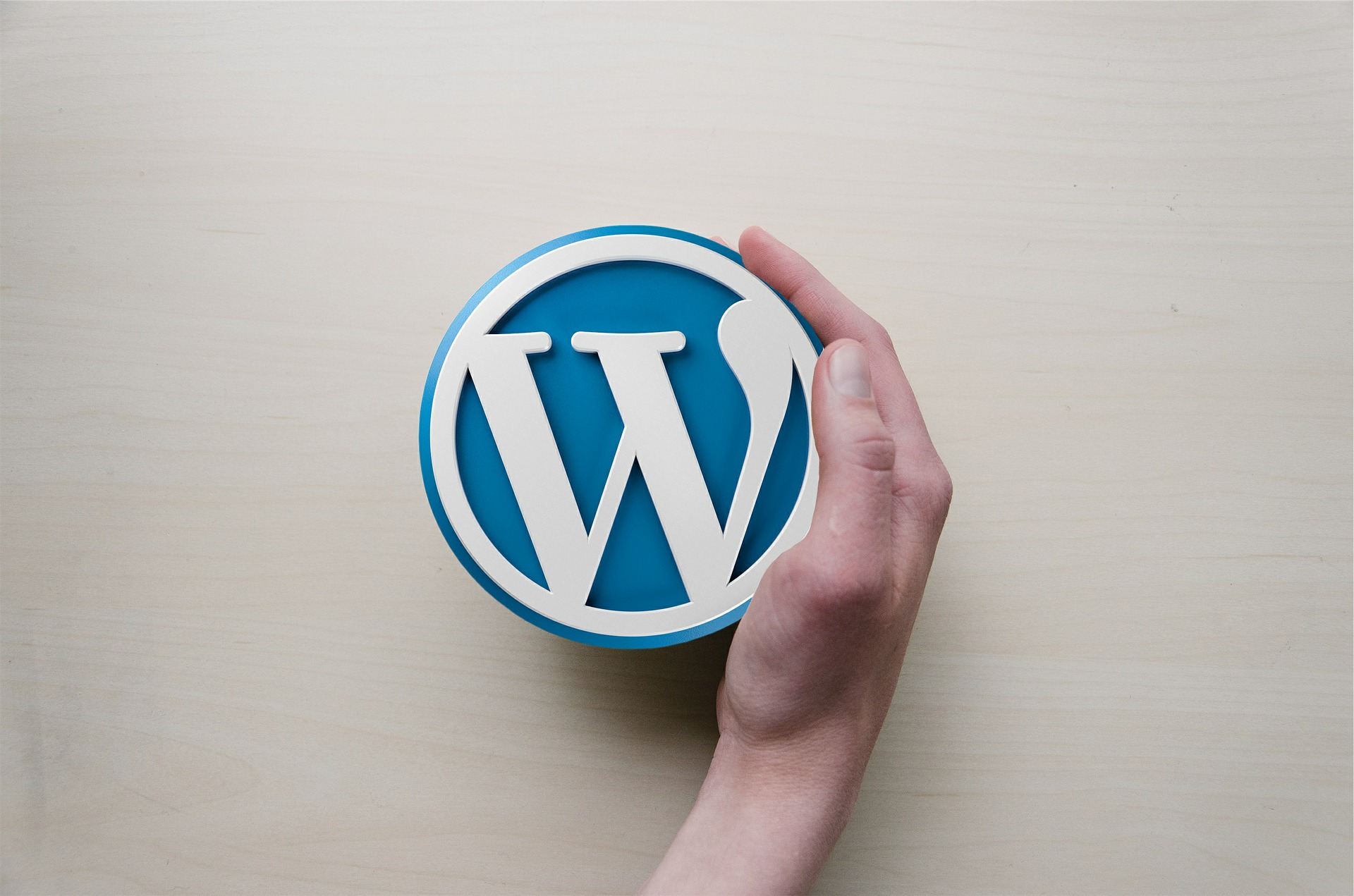 seo in wordpress